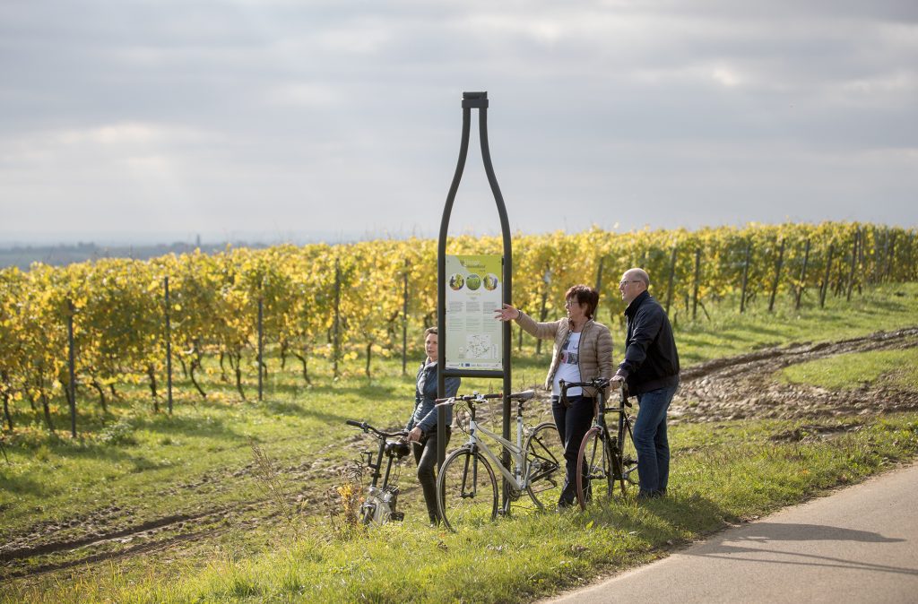 E-biken in Heuvelland