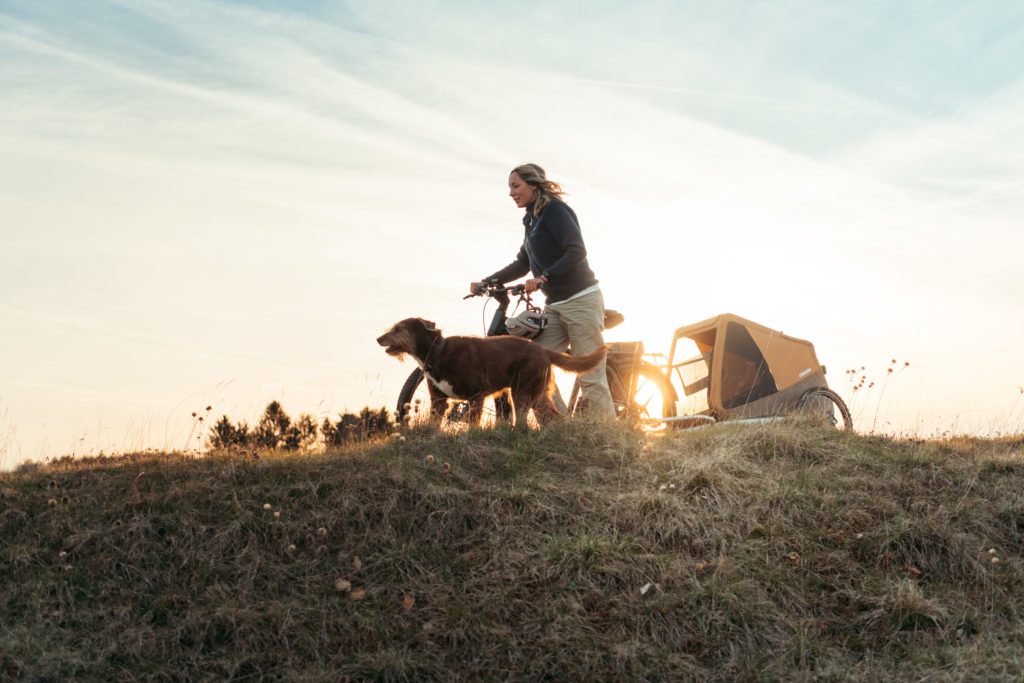 Fietsen met je hond: Comfortabele mand, kar of bakfiets?