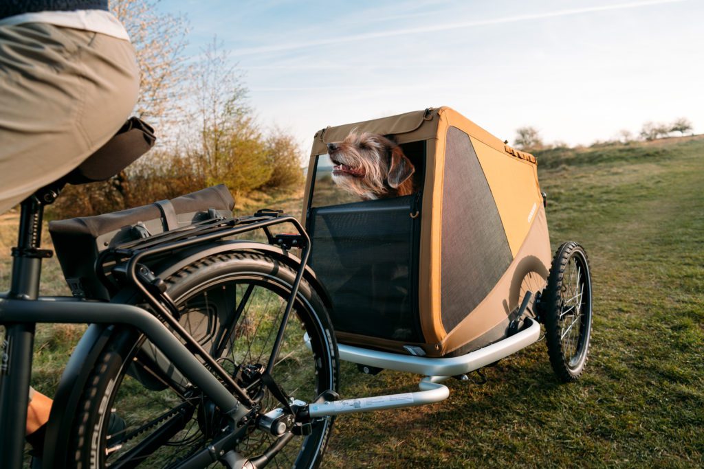 Fietsen met je hond