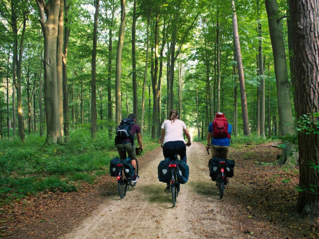 Cactus à vélo en Bike-Packer tillen fietsen in Brussel naar hoger niveau
