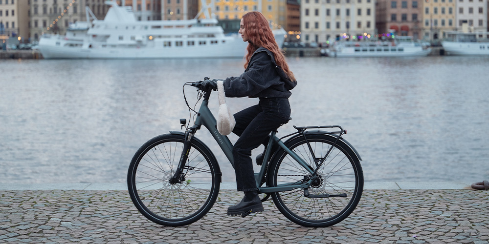 Tenways CGO800S en CGO800 Plus: stel hoge eisen aan een e-bike voor je woon-werkverkeer